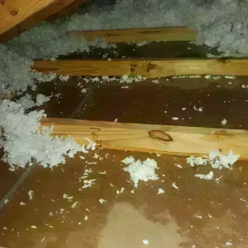 Attic Water Damage in Bullard, TX