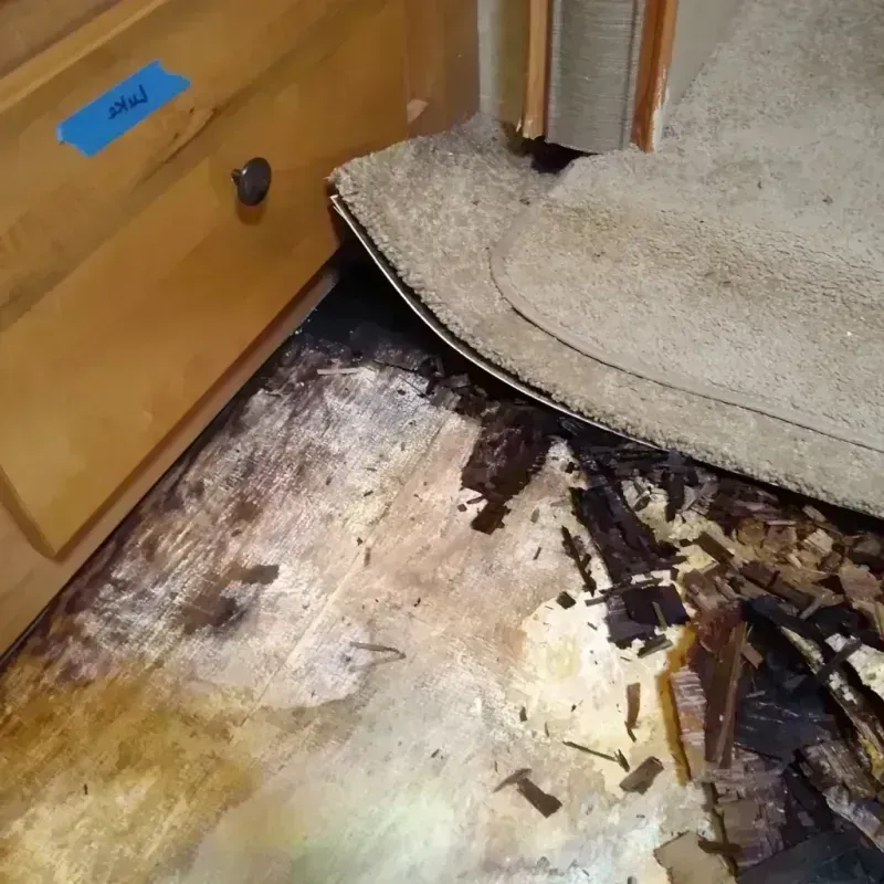 Wood Floor Water Damage in Bullard, TX